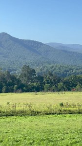 🐻🐻🐻 | Kathleen Madigan