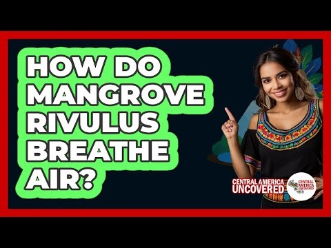 How Do Mangrove Rivulus Breathe Air?