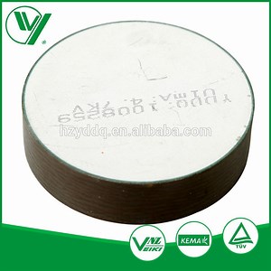 [Hot Item] Metal Oxide Varistor for Surge Arrester