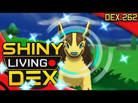 SHINY MIGHTYENA! FINALLY! Live Reaction! Quest For Shiny Living Dex #262 | Pokemon XY