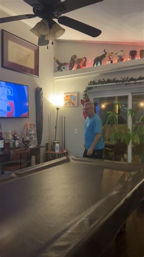 Dominic the Donkey: A Christmas Humor Reflection