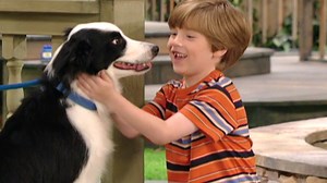 Pets; Vets – Barney And Friends (Season 10, Episode 109) - Apple TV (AU)