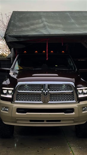 Video's van dutch dually (@dutchdually) met original sound - L E X I • M I C H E L L E 🪩