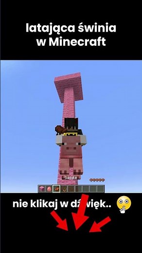 flying pig in minecraft