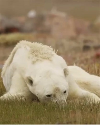 Combat Overconsumption in Fashion for a Sustainable Future