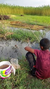 Best Fish Hunting by Village Boy | Fishing & Village Tradition