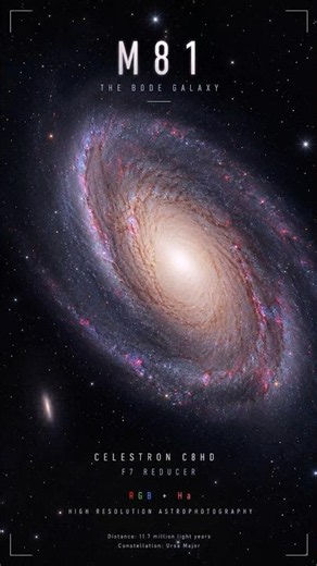 Galaxy M81 from Tenerife | Celestron C8 EdgeHD + RGB & Hα
