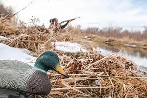 Waterfowl Hunting