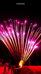 156 Shots Purple Peacock #fireworkscake #merrytimefireworks #美太156发紫孔雀 | 烟花