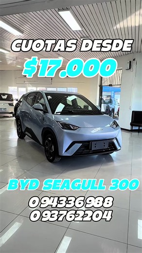 BYD Seagull 300: autonomía 300 km y carga rápida CCS2
