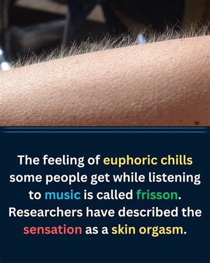 Learn Something New on Instagram: "An experience is called frisson (pronounced free-sawn), a French term meaning "aesthetic chills," and it feels like waves of pleasure running all over your skin. Some researchers have even dubbed it a 'skin orgasm.' Listening to emotionally moving music is the most common trigger of frisson, but some feel it while looking at beautiful artwork, watching a particularly moving scene in a movie, or having physical contact with another person. While scientists are s