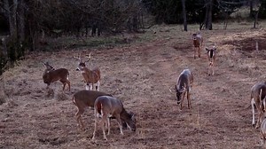 35K views · 140 reactions | Finally taking a deep breath after a long season. Dream Season - TUESDAYS at 10:30pm ET | Outdoor Channel | Facebook