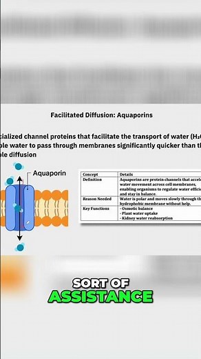 Aquaporins: How Tiny Proteins Supercharge Water Movement! #shorts
