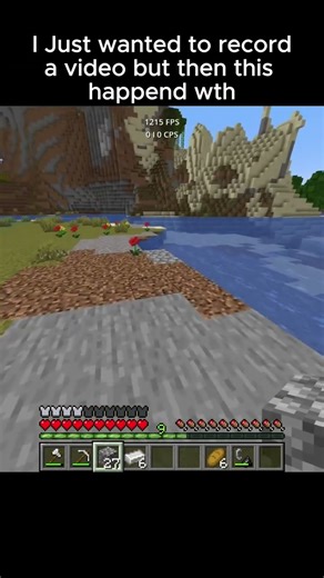 does anyone knows this bug?#viral #minecraft #memes #fyp #meme