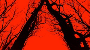 Blair Witch