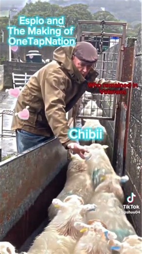 Lineage 2 - Core - Making Of - OneTapNation #gaming #l2community #memes