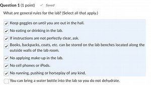 What are general rules for the lab? (Select all that apply.)K... | Filo
