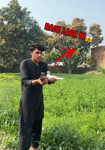 Racer Ko Or Bazi Wale Kabootar Ki Race Laga Di😱 #racer #kabootar #princebhai #kabootarbaazi #pigeons