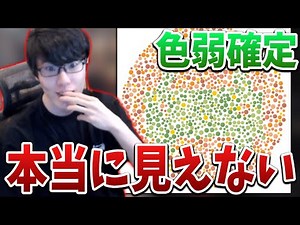 はんじょう、色覚テストにより完全に色弱が確定する【2022/09/27】