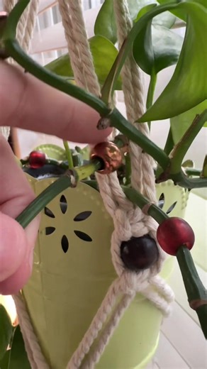 Exploring Beaded Plant Decor Trends in 2023