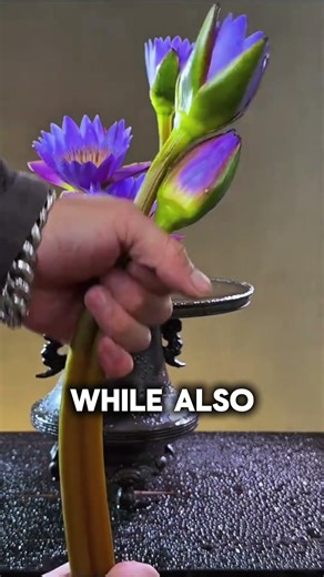 The Genius Japanese Flower Technique 🌸