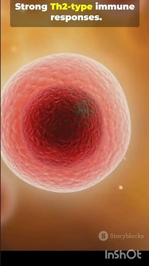 Know BALB/c mice , Immunology research #immunesystem #adaptiveimmunity #biology #education