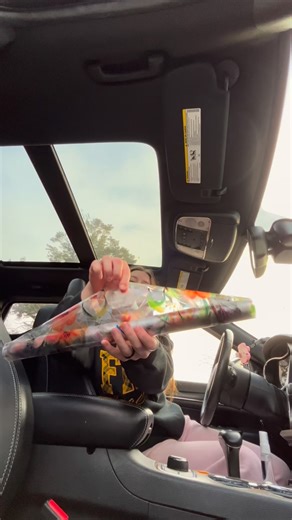 Viral & Useful Product Finds on Instagram: "putting window film on my skylight ✨ 🦋 💐 I plan on doing the other skylight as well, just wanted to see how it looked before buying more haha #crafts #windowfilm #fyp #viral"