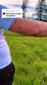 58K views · 1.3K reactions | Replying to @Laughter heals the heart mosquitoes feed a very wide variety of mammals, birds and insects and they all love mosquitoes more when theyre plump full of your blood.  however.. im not willing to risk my health so these techniques and items are what i ise to keep myself from being eaten alive. I dont get bit veryboften and fortunately my body doesnt react to the bites i do get. #mosquitos #mosquito #bugnet #camplife #horsenomad | Michael Ridge | Facebook