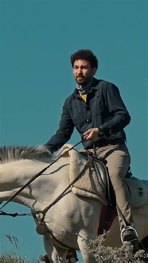 Wolf Börü and his pack are attacking the horse!