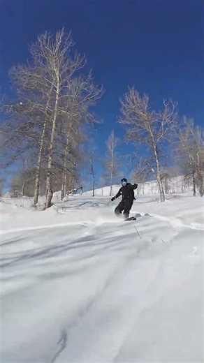 Spring Break Class Rush: Secure Your Spot Now! SnowboardTeaching Guides