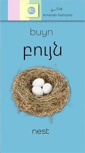 Listen & Learn Armenian: Բույն [ buyn ] – Nest | Audio Flashcards