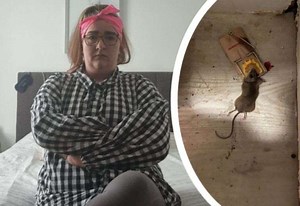 Mum at ‘breaking point’ after three-year mouse infestation