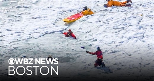 Woman in Eastham dies after falling through icy river, officers fall in during rescue