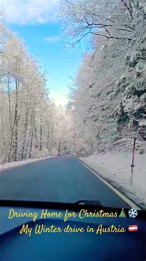Driving Home for Christmas ❄️🌲 | Winter Forest Road | #shortsyoutube