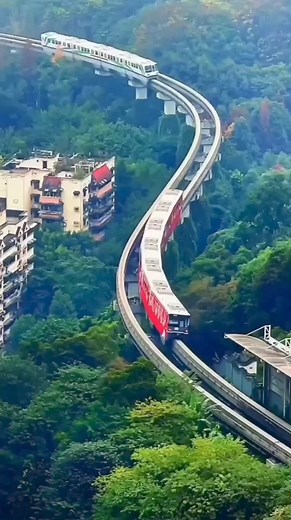 Went to Thailand to explore the cave 🌎 . . . . . follow for more ✨🌍 . . . . #science #sciencefacts #spacescience #astronomy #fact #spacex2o #viral #reelsfbシ | Imran Karime