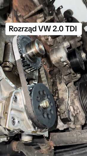 176K views · 1.1K reactions | Druga wymiana rozrządu w VW Golf VII przy 315 000 km przebiegu wraz z napędem pompy oleju. #vw #seat #audi #skoda #tdi #workshop #mechanik #warsztatsamochodowy #warsztat #carservice #mechanic #qservice | QService Auto Serwis Grygiel | Facebook