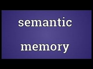 Semantic memory Meaning