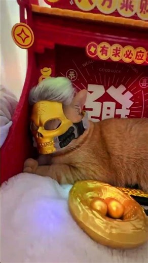 Unleash Your Inner Hero: My Sword and Shield Adventure