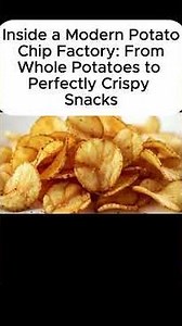 Inside a Modern Potato Chip Factory | From Farm to Crispy Chips (Full Production Process)