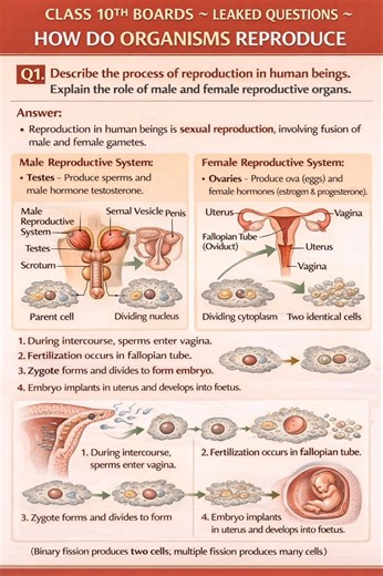 CLASS 10TH BOARDS 2026 🔥 QUESTION LEAKED? | HOW DO ORGANISMS REPRODUCE | 5 MARKS WITH DIAGRAM |