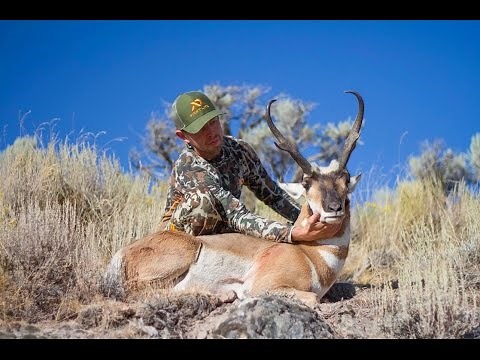 BIG NEVADA ANTELOPE