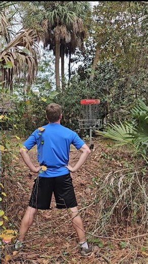 I can't belive the baskets didn't accept these perfect putts 🤣 #fail #discgolf #sports