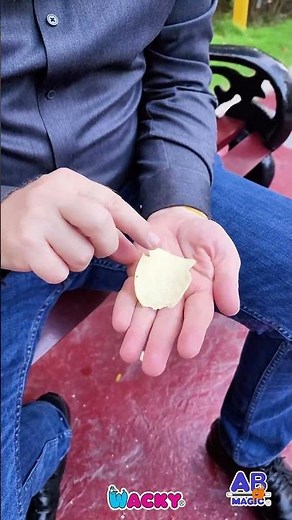 Crazy Exploding Pringles Magic Trick Tutorial