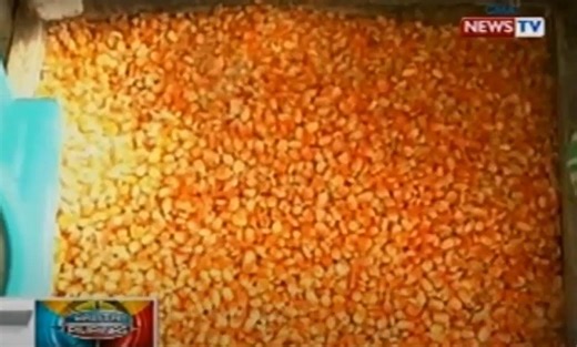 Marcos bares NFA to start procuring corn from local farmers