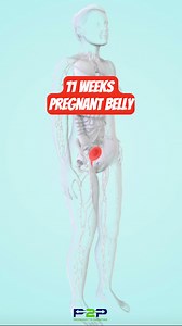 251K views · 804 reactions | Mom's belly at 11 weeks. | Pregnancy to parenting | Facebook