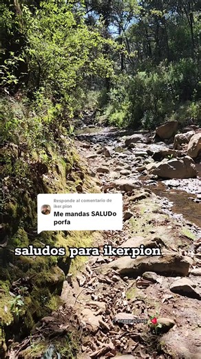 Respuesta a @iker.pion Saludos iker de parte del compa jerry 🍓#jacona #jaconamichoacan #parati #mtb #mtbforyou