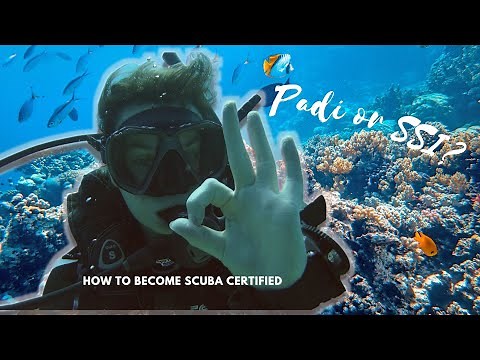 How to become SCUBA diving certified - Open Water: PADI vs SSI?