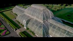 8.8K views · 695 reactions | Have you ever wondered what the birds see as they fly around the Gardens? Take a stroll through Kew with a slightly different view  | Kew Gardens | Facebook