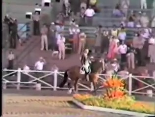 Klimke and Ahlerich One Tempi Changes - 1984 Olympics
