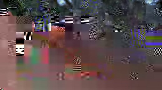 45K views · 1.4K reactions | Tim 'Curly' Leach helps his neighbor, Mary Miller cut down some dangerous trees on her property. A new episode of Port Protection: Alaska airs Tuesday at 9/8c on National Geographic. | Life Below Zero | Facebook